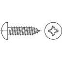 TOOLCRAFT TO-5435334 Blachowkręt z łbem soczewkowym 38 mm Krzyżakowy PZ DIN 7981 stal cynkowany galwanicznie 100 szt. - obrazek 1