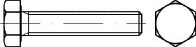 Śruba z łbem sześciokątnym TOOLCRAFT TO-5443407 50 mm 22 mm 50 szt. - obrazek 1