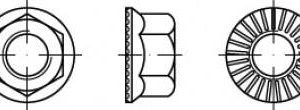 Nakrętki imbusowe M12 TOOLCRAFT TO-5444613 100 szt.