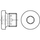 Korek gwintowany TOOLCRAFT TO-5449263 1/4 mm DIN 908 100 szt. Korek gwintowany TOOLCRAFT TO-5449263 1/4 mm DIN 908 100 szt.