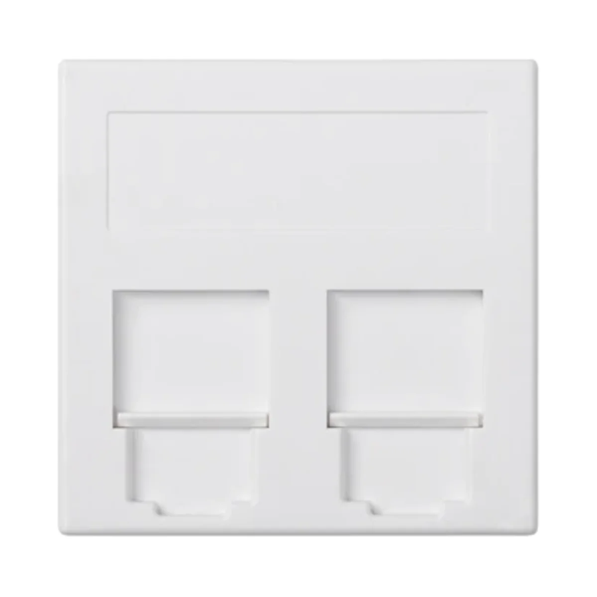 Płytka S500 2x RJ z osłonami PANDUIT czysta biel 50019089-030 - obrazek 1