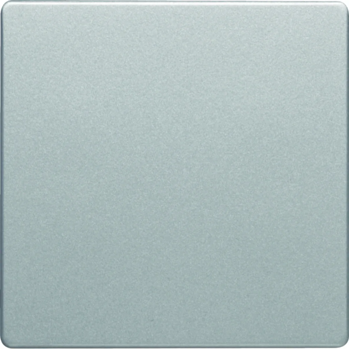 Q.1/Q.3 Klawisz do łącznika 1-klawiszowego aluminium 16206084 - obrazek 1