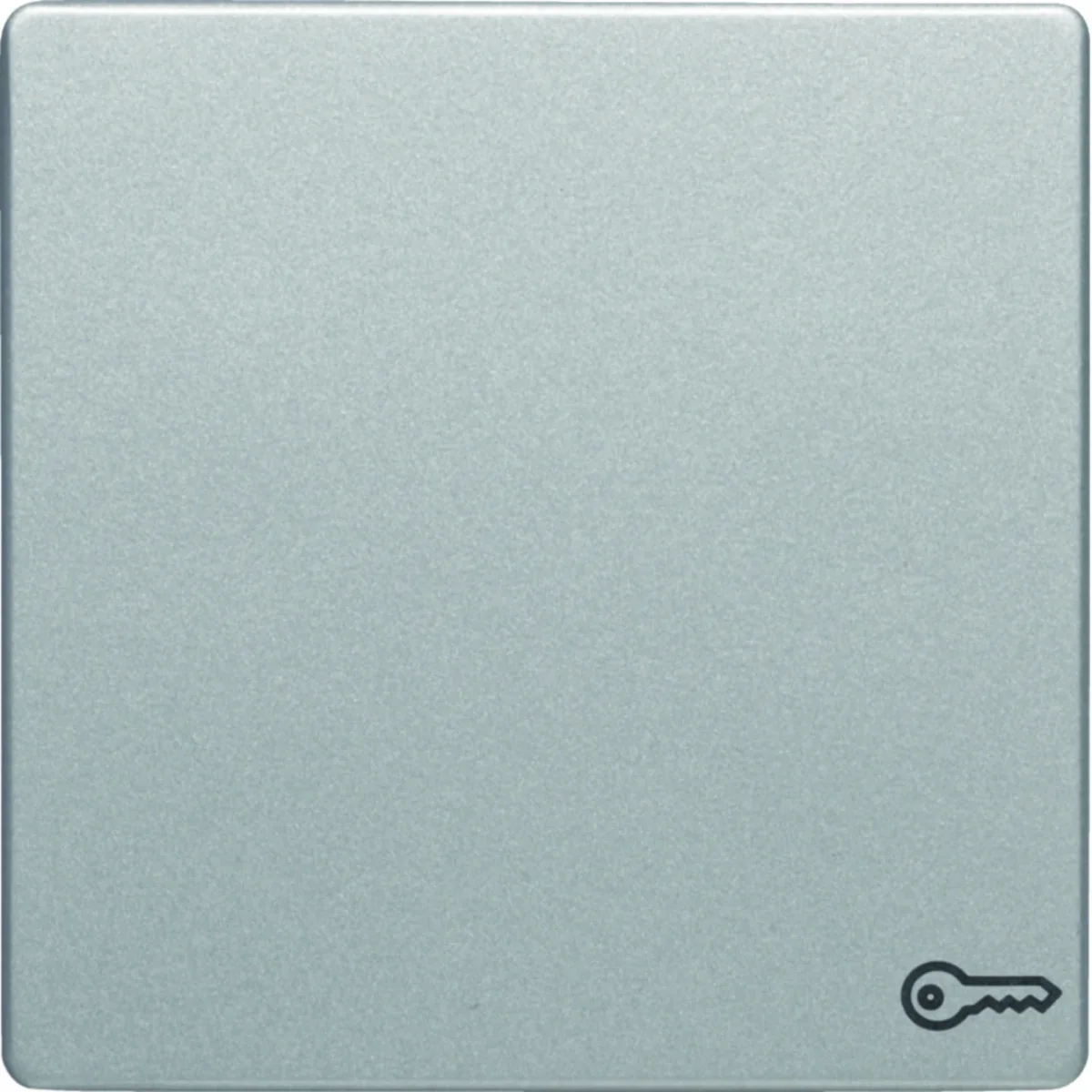 Q.1/Q.3 Klawisz z nadrukiem symbolu "klucz" aluminium aksamitny lakierowany 16206064 - obrazek 1
