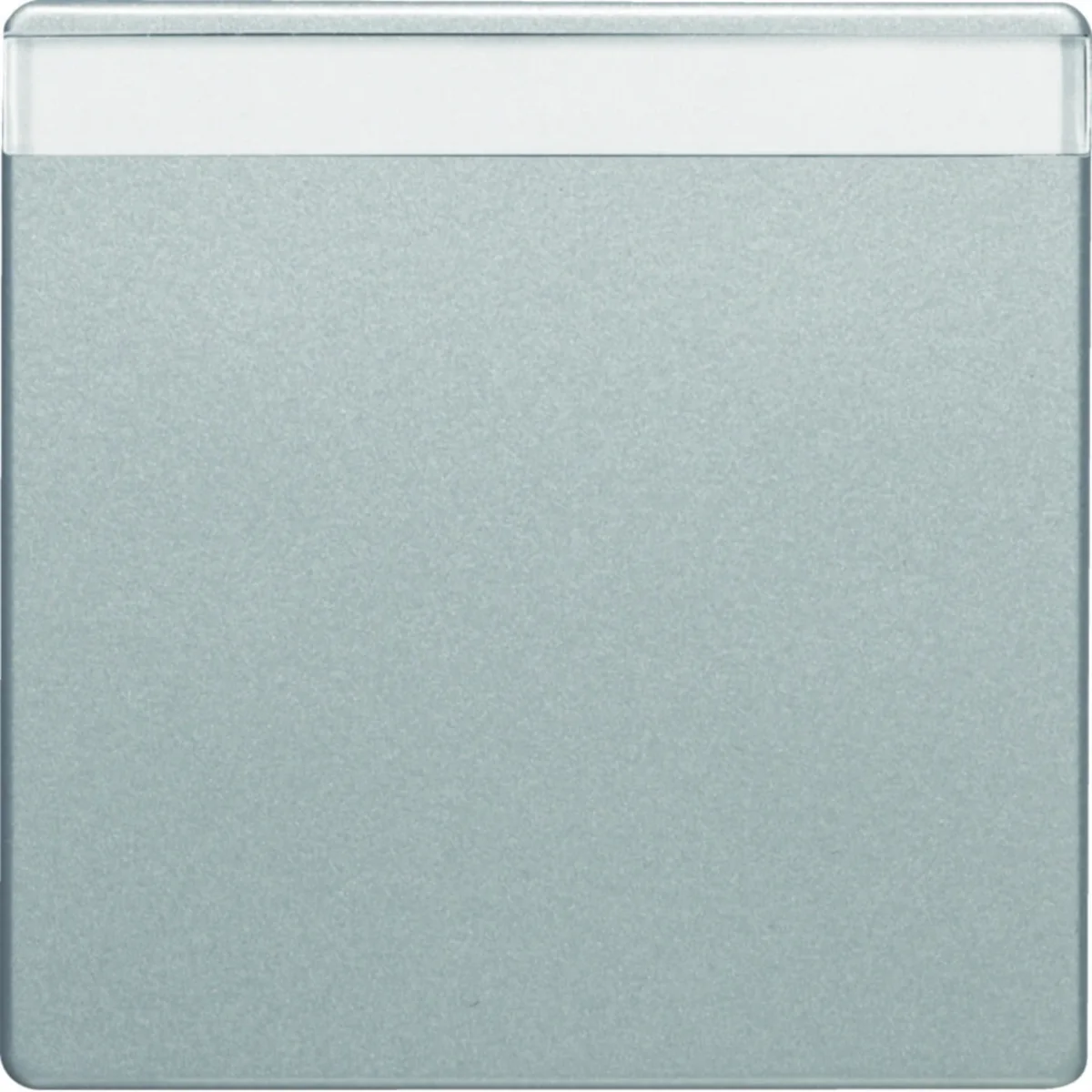 Q.1/Q.3 Klawisz z polem opisowym aluminium aksamitny lakierowany 16266084 - obrazek 1