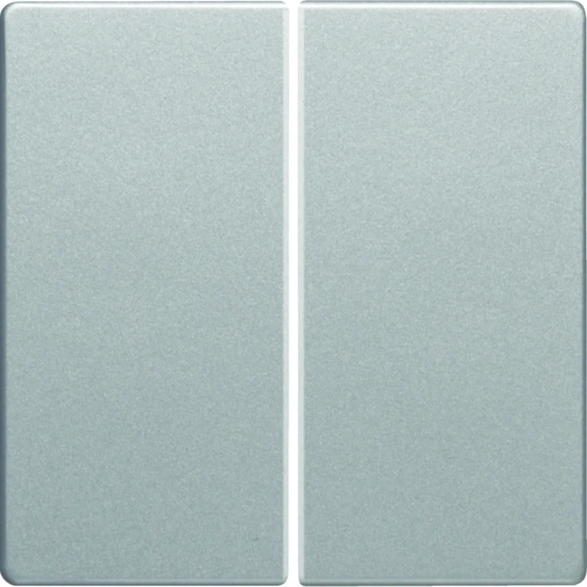 Q.1/Q.3 Klawisze do łącznika 2-klawiszowego aluminium 16236084 - obrazek 1
