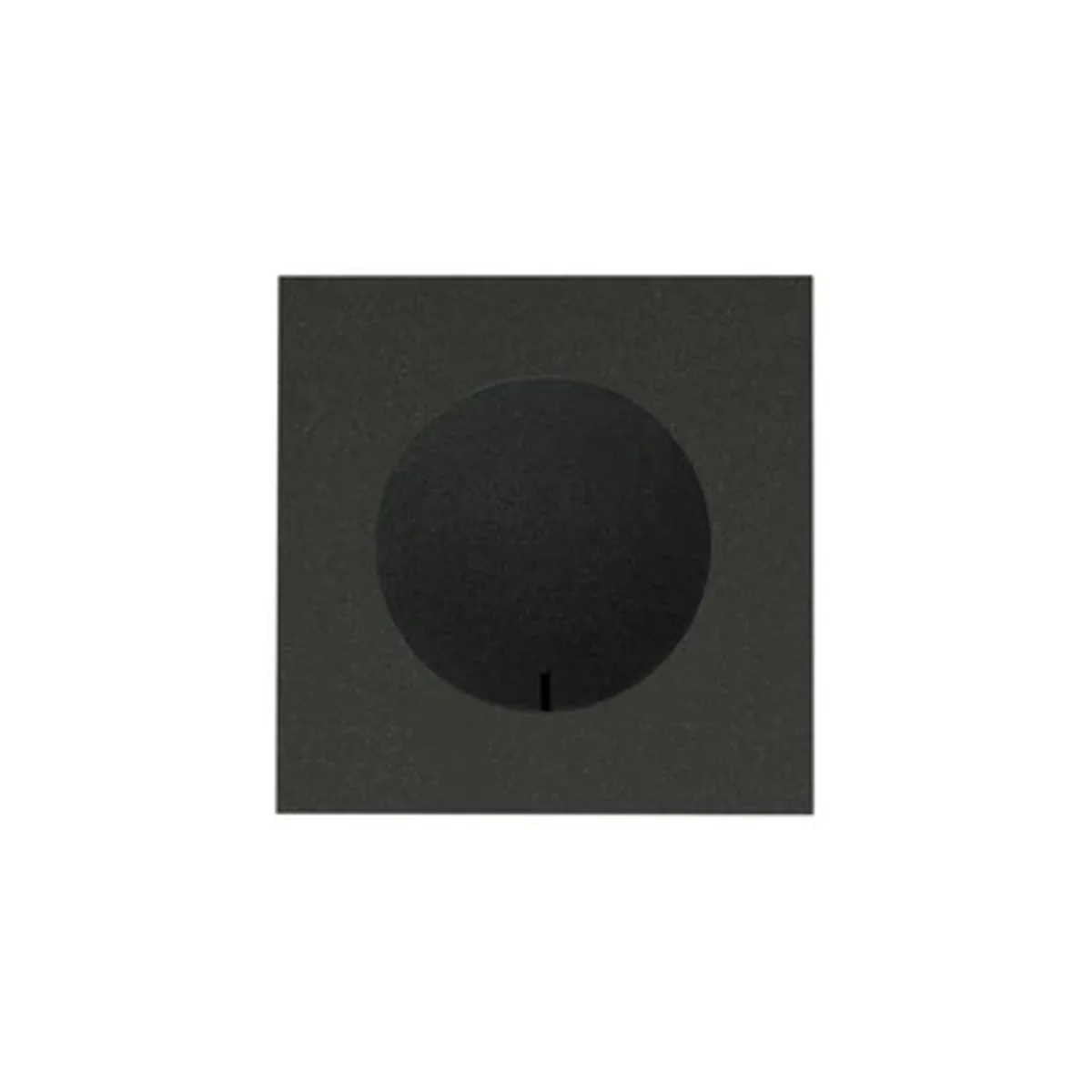 Simon 100 W100-10020190x-238 Panel 1-krotny IP44: 1 gniazdo zasilające; czarny mat 10020190-238