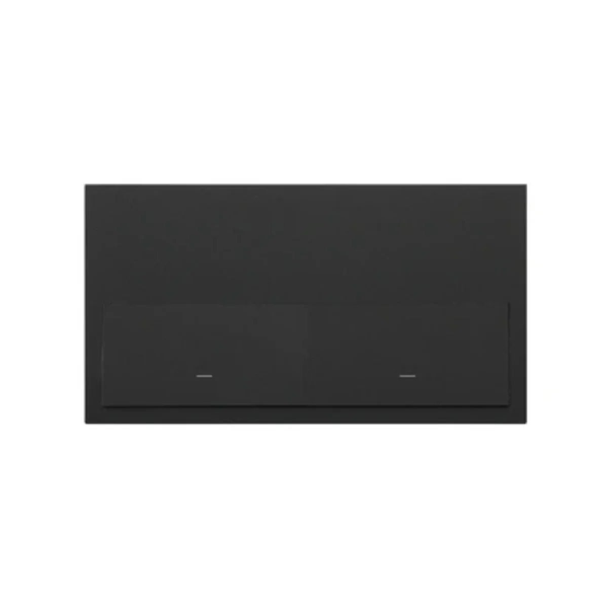 Simon 100 W100-10020201x-238 Panel 2-krotny: 2 klawisze; czarny mat Do wyczerpania stanów magazynowych 10020201-238 - obrazek 1